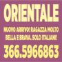 Orientale nuovo arrivo