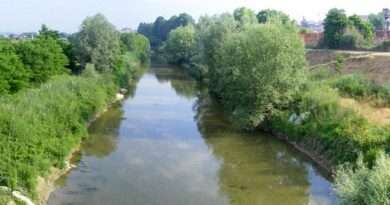 Manutenzione in corso sul Torrente Borbore
