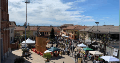 Mostra Artigianato Bosconero(To)