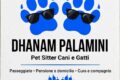Dhanam dog sitter