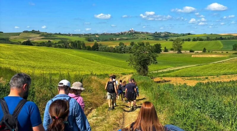 Wine trekking archivio
