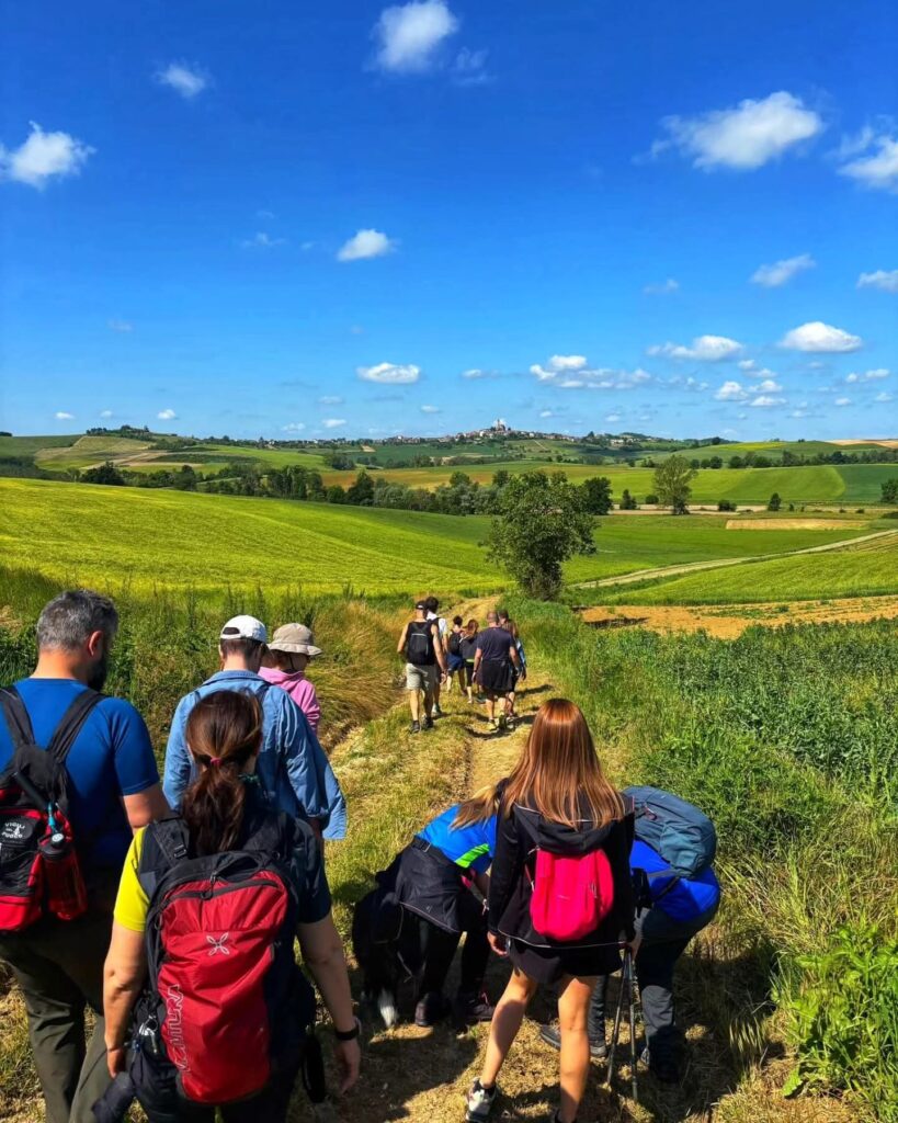 Wine trekking archivio