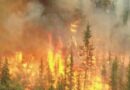 Incendi boschivi e siccità, esteso all’intero Piemonte lo stato di emergenza regionale