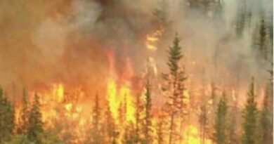 Incendi boschivi e siccità, esteso all’intero Piemonte lo stato di emergenza regionale