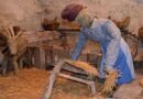 Bando Ecomusei, 450 mila euro per il sostegno delle attività