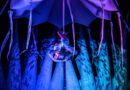 Les FARFADAIS in “Éveil”  – Domenica 18 ottobre – ore 21.00 -Teatro Alfieri – Asti