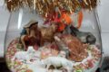 Presepe
