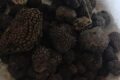 Tartufo nero e bianco